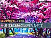《测你被<i>爱情</i>伤害得有多麻木》测试