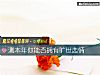 《测<i>本年</i>你能否拥有旷世恋情》测试