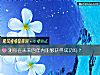 《测你在未来四年内能够获得<i>成功</i>吗？》测试