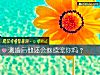 《测婚后他还会继续宠你吗?》测试
