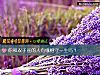 《你和双子座的人有缘相守<i>一生</i>吗？》测试