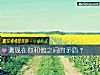 《测现在你和他之间的<i>矛盾</i>?》测试