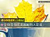 《让你变得优柔寡断的人是谁》测试