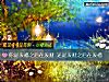 《你是发福之后在<i>发财</i> 还是<i>发财</i>之后在发福》测试