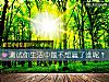 《测试你<i>生活</i>中最不想赢了谁呢?》测试