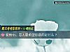 《<i>爱情</i>中,恋人最希望你做的是什么?》测试