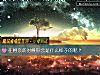 《在相亲的时候你会是什么样子的呢?》测试