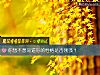 《你想不想知道你的性格是否刚强?》测试