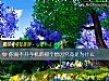 《你离不开手机的那个<i>原因</i>究竟是为什么》测试