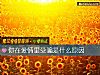 《你在<i>爱情</i>里受骗是什么原因》测试