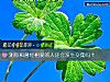 《测你和曾经相爱的人还会<i>发生</i>交集吗？》测试