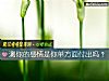 《测你的感情是你单方面<i>付出</i>吗?》测试