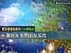 《测你未来男<i>朋友</i>多高》测试