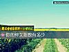《你的绅女<i>指数</i>有多少》测试