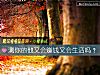 《测你的他又会赚钱又会<i>生活</i>吗?》测试
