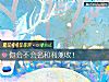《你会不会名和利兼收!》测试