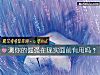 《测你的倔强在现实面前有用吗?》测试