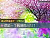 《你是一个晚熟的人吗?》测试