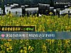 《测试你的<i>闺蜜</i>会帮助你还是阻碍你》测试