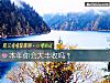 《<i>本年</i>你会大丰收吗?》测试