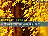 《<i>失恋</i>中的你能够被谁治愈?》测试