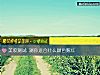 《美妆测试 测你<i>适合</i>什么颜色腮红》测试