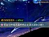 《你是活得越来越单纯还是越来越复杂呢!》测试