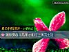 《测你要奋斗几年才能过上现充<i>生活</i>》测试