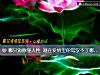 《哪只海豚懂人性 测在<i>爱情</i>里你驾驭不了哪种人》测试