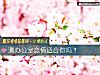 《测办公室恋情<i>适合</i>你吗?》测试