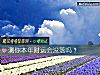《测你<i>本年</i>财运会没落吗?》测试