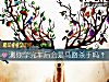 《测你学完车后会是马路杀手吗?》测试