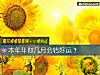 《本年年你几月会转<i>好运</i>?》测试