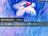 《大把赚钱大把花钱的<i>人生</i>属于你吗？》测试