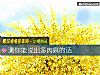 《测你能说出多肉麻的话》测试