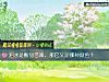 《泪水是酸甜苦辣,那它又是哪种颜色?》测试