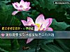 《测你需要多久才能发现老公有外遇》测试