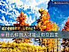 《什么样的人才能让你变<i>温柔</i>》测试