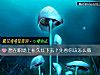 《想在职场上长久红下去?先看你该怎么做》测试