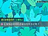 《在<i>爱情</i>面前的你恋爱心智有多迟钝?》测试