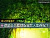 《你是否会吃软饭靠女<i>人生</i>存呢？》测试