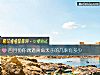 《四月份你偶遇真命天子的几率有多少》测试