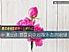 《测出你潜意识中对婚外恋的期望》测试