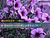 《测试你的<i>公司</i>发展区块链能成功吗?》测试