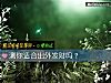《测你适合出外<i>发财</i>吗？》测试
