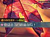 《你<i>适合</i>当行政前台吗?》测试