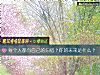 《每个人都有自己的归宿?你的未来是什么?》测试