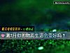 《测7月你的物质<i>生活</i>会变好吗?》测试
