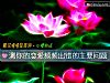 《测你的恋爱频频出错的主要问题》测试