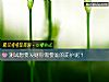 《测试想要<i>发财</i>你需要谁的庇护呢？》测试